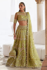 Gossamer Wedding Festive '25 - NOORE SITARA (ZC25-01) (RTS)