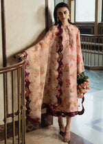 BASIC NOT BASIC V '25 - Damask