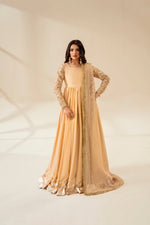 Festive wear Lumina '25 - AMAYA