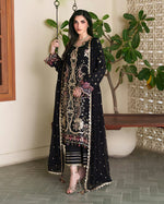 Mah-e-Noor Silk '26 - Chandni