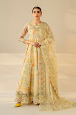 Formals RTW '26 - EMBROIDERED COTTON PATTI PR-1180