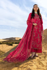 Premium Summer Collection '26 - Safa