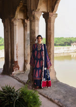 Karandi Unstitched 25 - Gulbano