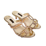 Amira Eid '25-Parisa Gold Kitten
