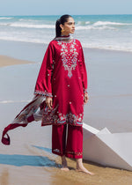 Floral Paisley