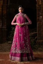 Wedding Festive '25 - Mushq