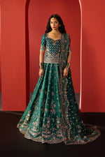 Divani '25 - Afsar