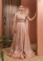 New Arrivals - Amireh