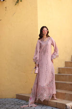 Noor Luxe Chikankari 2026 - D2 - A - Pink