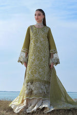 Premium Summer Collection '26 - Zariah