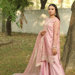 Riwaayat '26 - Sitara (WF-Z-002) (RTS)