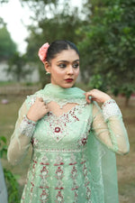 Riwaayat '26 - Nayab (WF-Z-005) (RTS)
