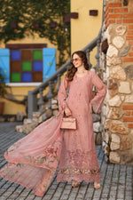 Noor Luxe Chikankari 2026 - D8 - B - Petal Pink