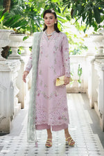 Qline Lawn Drop 1 - RP-11 INAYA
